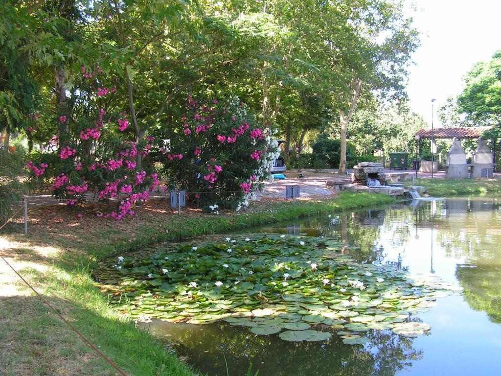 Camping Villaggio Italgest SantʼArcangelo Exterior foto